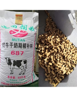 奶牛干奶期精補料687